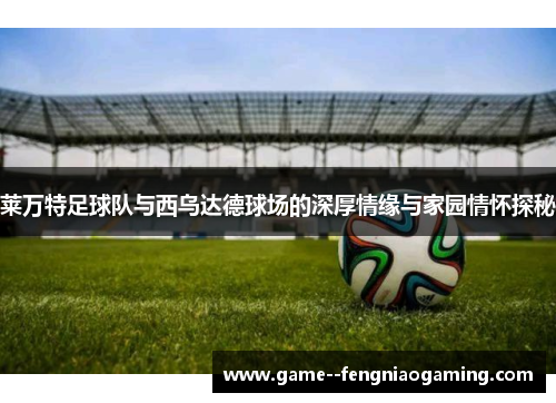 莱万特足球队与西乌达德球场的深厚情缘与家园情怀探秘 莱万特足球队与西乌达德球场的深厚情缘与家园情怀探秘