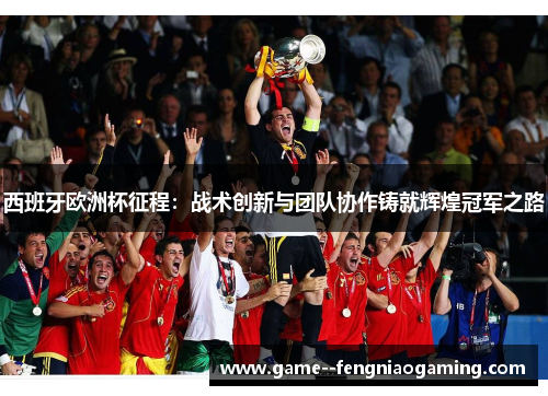 西班牙欧洲杯征程：战术创新与团队协作铸就辉煌冠军之路
