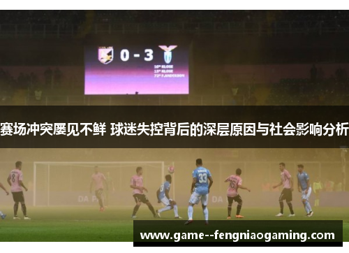 赛场冲突屡见不鲜 球迷失控背后的深层原因与社会影响分析