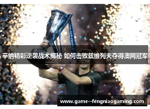 辛纳精彩逆袭战术揭秘 如何击败兹维列夫夺得澳网冠军