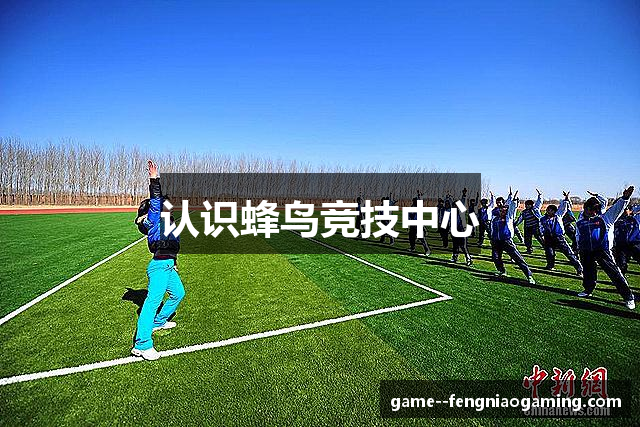 认识蜂鸟竞技中心